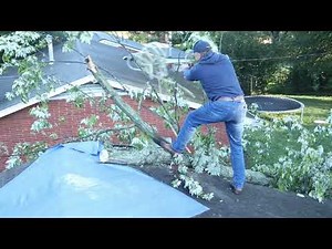 Fallen Tree on a House! How We Removed It