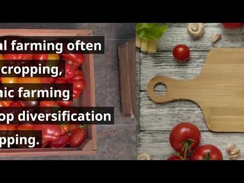 10 Differences Between Conventional Farming and Organic Farming