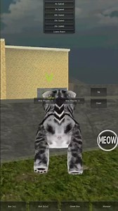 XD (Kitten Cat Simulator)