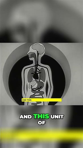 Magnetic Field of the Body: Unveiling Life's Energy #shorts