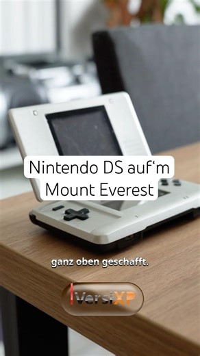Der Originale Nintendo DS ist ein Panzer! 🐢