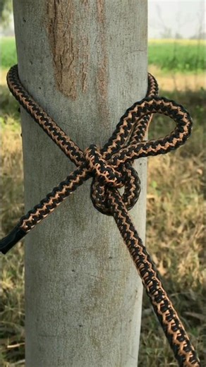 Super Strong Tree Anchor Knot 🌳#knottutorial #viral 👌