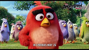 It's Birds vs. Pigs in #AngryBirdsMovie! Catch the Angry Birds in cinemas May 26. | Sony Pictures