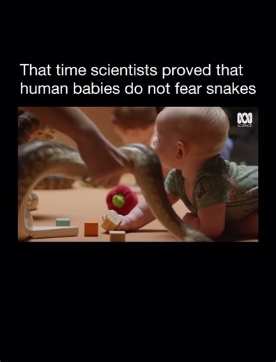 In an experiment featured on ABC Science's program Secret Science, researchers placed babies in a controlled room with non-venomous snakes to study natural fear responses. The goal was to see if humans are born with an instinctive fear of snakes or if it's learned through experience. Surprisingly, the infants showed little to no fear. Some even reached toward the snakes with curiosity instead of hesitation. Scientists concluded that while humans may have a biological awareness of snakes, genuine