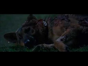 bad moon (1996) - thor pushes the werewolf out the window