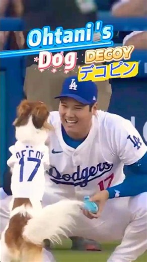 Ohtani's dog Decoy🐶大谷の愛犬デコピン🐾世界最幸福的狗(大谷的狗:彈珠)