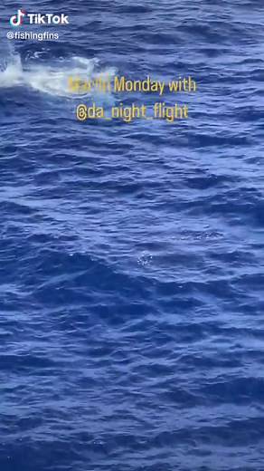 Exciting Marlin Chasing a Mahi in Epic Fishing Adventure!