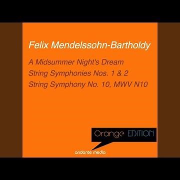 String Symphony No. 2 in D Major, MWV N2: I. Allegro