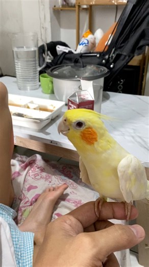 4.9K views · 238 reactions | Little opera singer ♥️ | Esperedion Rada | Facebook