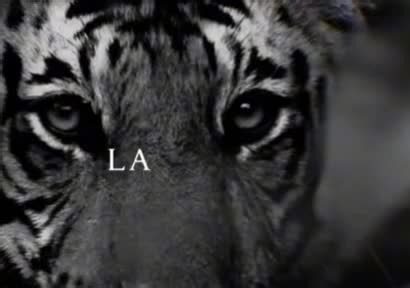 Video di Daniela Bianchi (@danielabianchi24) con audio originale - Daniela Bianchi