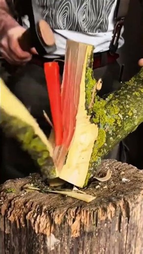 cutting and splitting mossy tree branches using a sharp axe and red wedge on the wooden blocks