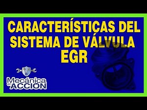Características del Sistema de Válvula EGR