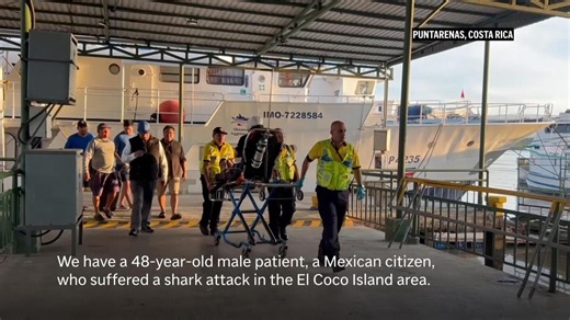 Mexican marine biologist attacked by a shark near remote island in Costa Rica