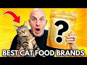 Best Cat Food Brands | Top Vet-Recommended Picks in 2026