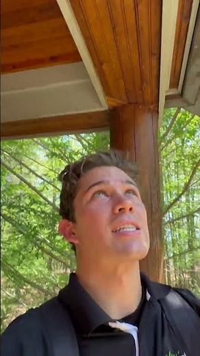 $2m Damage Carpenter Bees #pestcontrol #carpenterbees