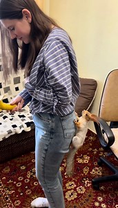 2.8M views · 27K reactions | Зйомки проходять не за нашим планом)#animal #animals #live #beautiful #masha #білка #животные #дикиеживотные #fan #білочка #маленький #squirrels #маша #squirrel #тварини #fannyvideo #рекомендации | Білочка Маша | Facebook