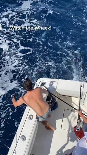 Gaffing one of the fastest fish alive! #protocolsportfishing #fishcab | Protocol Sport Fishing