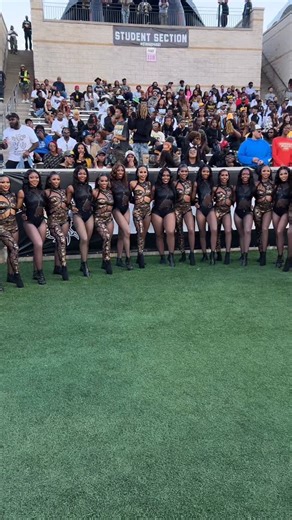 Travel Makeup Artist on Instagram: "Stingettes🐝 x Motion 🌊 #swacdancers #myasu #alabamastateuniversity #texassouthernuniversity #hbcubands #hbcubuzz #alabamamakeupartist"