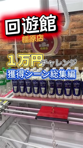1万円チャレンジ！ほかの回遊館もいってみたいなぁ #クレーンゲーム #クレゲ #UFOキャッチャー #奈良 #ディズニー