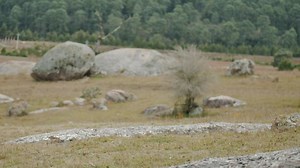 Free Rock Videos: 4K & HD | No Watermark | Download Now