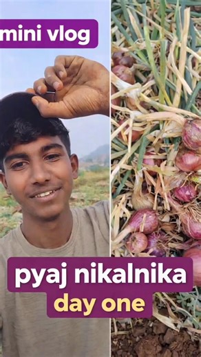 pyaj nikalneka day 1 #challenge #experiment #chotaalivlogs #vlog #food #minivlog #facts #dailyvlogs