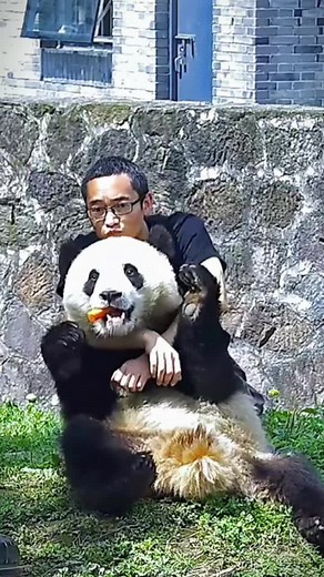 Cute_pandas on TikTok