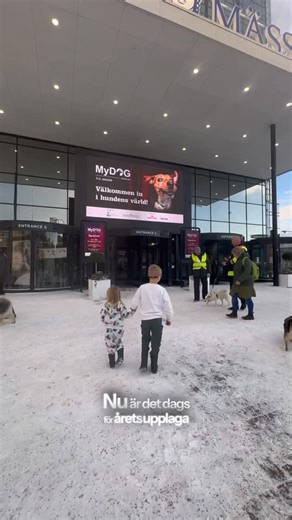 JENNY - UGC & Content Creator | Reklam för @mydog_se, nu är det dags igen 🐾 MyDog är Nordens största hundevenemang, intar Svenska Mässan 3–6 januari 🐶✨ Här väntar dagar... | Instagram
