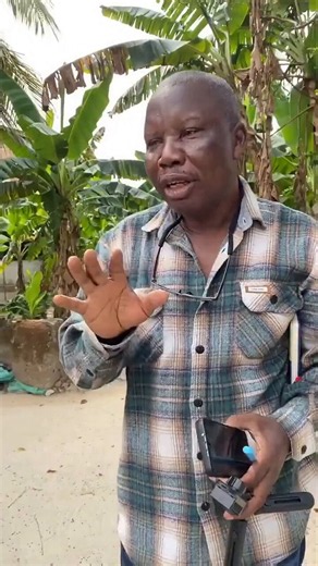 Whenever you build your house, create a garden where you can grow corn, vegetables, some fruits. AbblI mentioned this in one of my posts a few days ago. You can't have a large compound and still be buying vegetables, corn, and even some fruits from the market.