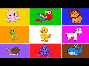 ¡Aprende los Colores con Plim Plim! 🎨 Divertido y Educativo para Niños