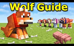 【中文配音】《我的世界》1.21终极狼群指南 | 驯服方法、变种类型、狼铠制作全攻略！ - TheAetherGamer