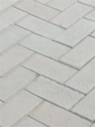 cat. (@oliver.hoare)’s videos with الصوت الأصلي - DR.Mohamed Abdelaziz