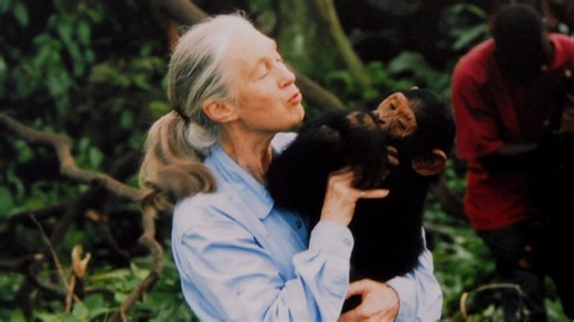 Jane Goodall, renowned chimpanzee researcher and animal advocate, dies at 91