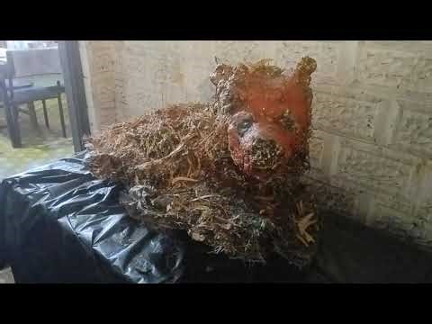 50kg manifestation of red hyena