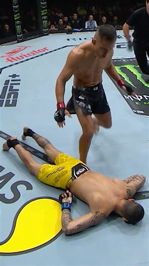 Elves Brener’s hands are so heavy you can barely tell what happened 😳 #UFCVegas121