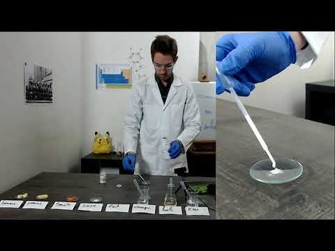 Comment mettre en évidence la présence d'eau dans une substance ? - 5èmes