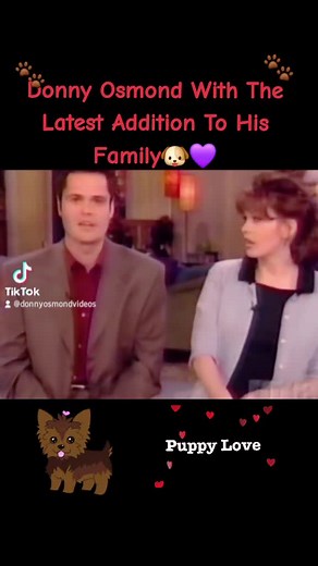 Donny Osmond's Adorable Puppy Love Video