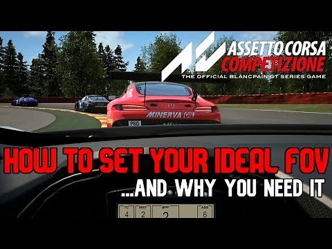 Assetto Corsa Competizione FOV Settings