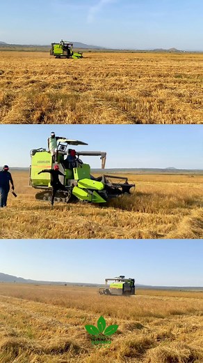 157K views · 7.9K reactions | I was at Kefiano Farms operating our new combine harvester tractor. Agriculture remains the backbone of our progress, and I find joy leading from the field — not from behind a desk. Let’s keep sowing the seeds of productivity.  | Kefiano Kefas Ropshik | Facebook