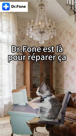 Un seul outil, tous les problèmes réglés: Dr.Fone. #drfone #memechat#ios #android