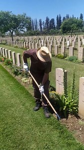5.7K reactions · 122 shares | Meet Carmelo, our gardener at Catania War Cemetery  Discover more about the cemetery: https://ow.ly/zuk850PsESw | Commonwealth War Graves Commission | Facebook