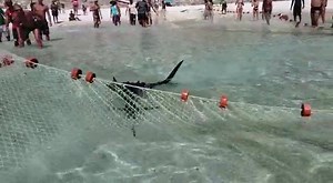 20K views · 177 reactions | #FLAGRARC24h - internautas de Arraial do...