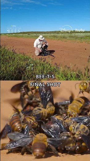 Bee-hind the scenes on #SecretsOfTheBees 🎥