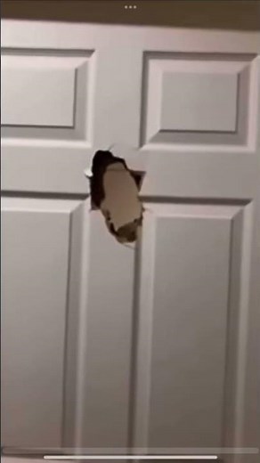 Elmo crashes through door