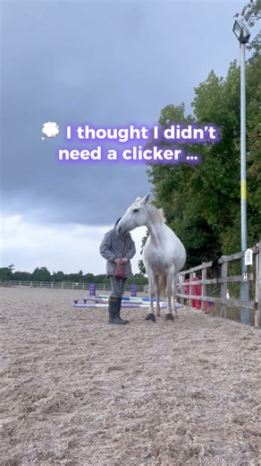 Why Your Horse Will LOVE a Clicker 🐴✨ | Clear, Kind Training That Builds Trust #equestrianjourney
