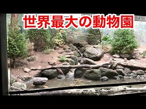 The exhibits at the Bronx Zoo, the world's largest zoo in the United States, were amazing...!