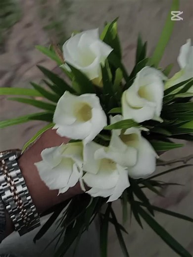 #python (@python3.60)’s videos with original sound - 🍬❤️‍🩹S H U B O🍬❤️‍🩹