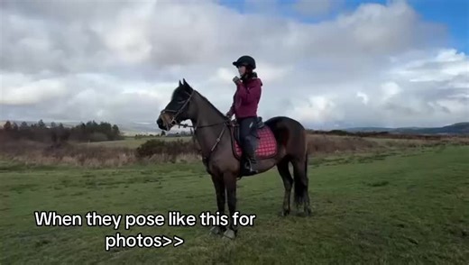 Captivating Photoshoots with Beautiful Horses