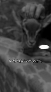 ‏#CapCut | capcut