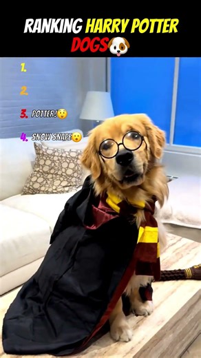 Finally, The Snape We Deserve 😅 #harrypotter