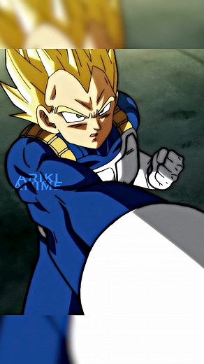 22 reactions | Vegeta vs. Botamo: Pure frustration and genius!  What was your favorite moment? #DragonBallSuper #Vegeta | Animaster | Facebook